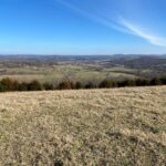 Property photo for land for sale in Madison County Arkansas