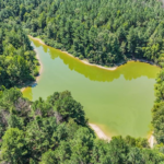 Property photo for land for sale in Claiborne County Mississippi