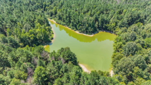 Property photo for land for sale in Claiborne County Mississippi