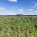 Property photo for land for sale in Shannon County Missouri