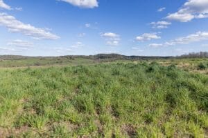 Property photo for land for sale in Shannon County Missouri