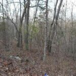 Property photo for land for sale in Sharp County Arkansas