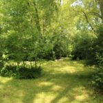 Property photo for land for sale in  County Minnesota