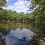 Property photo for land for sale in Atoka County Oklahoma