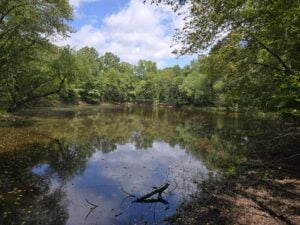 Property photo for land for sale in Atoka County Oklahoma