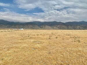 Property photo for land for sale in Pershing County Nevada