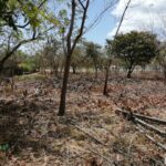 Property photo for land for sale in  County Panama