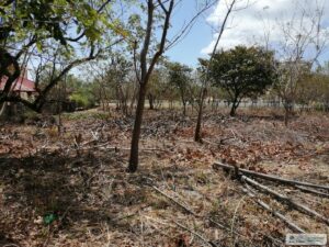 Property photo for land for sale in  County Panama