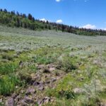 Property photo for land for sale in Gunnison County Colorado