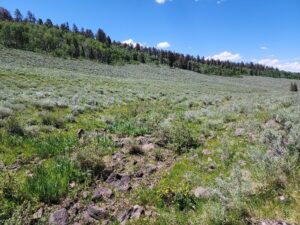 Property photo for land for sale in Gunnison County Colorado