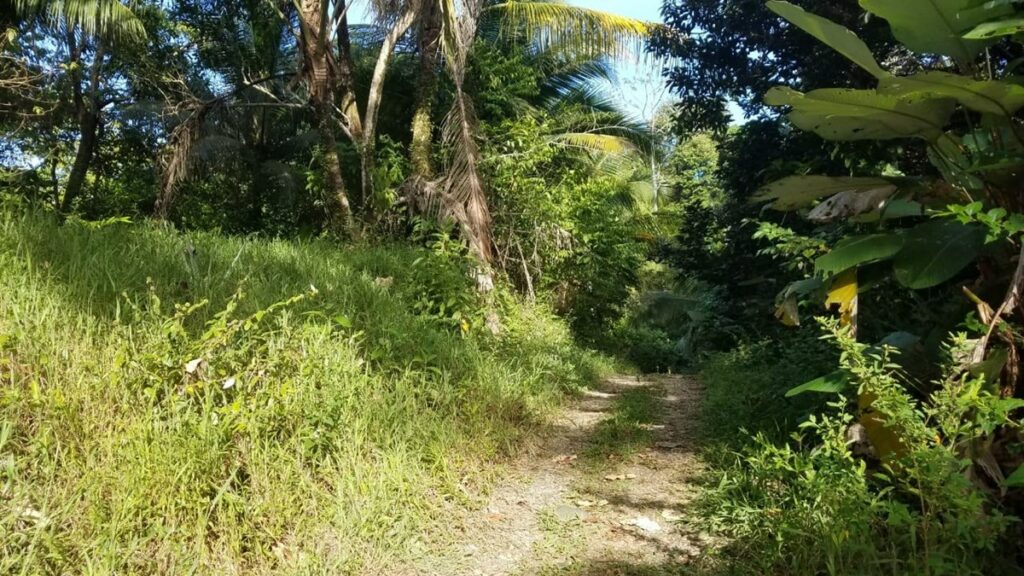 Property photo for land for sale in  County Panama