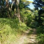 Property photo for land for sale in  County Panama