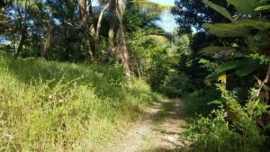 Property photo for land for sale in  County Panama