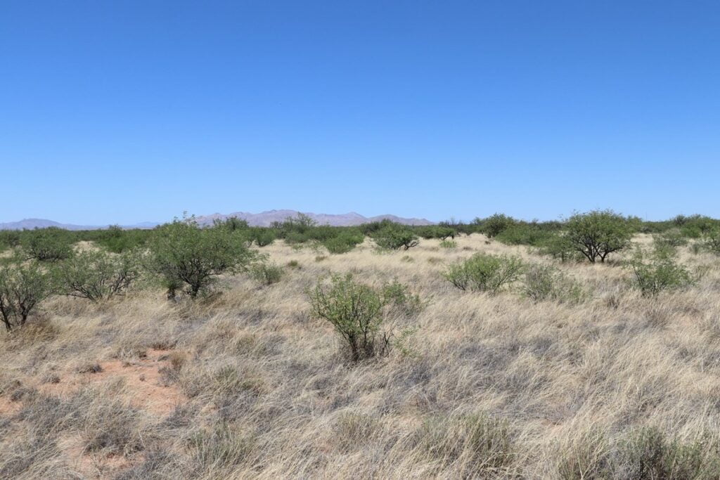 Property photo for land for sale in Cochise County Arizona