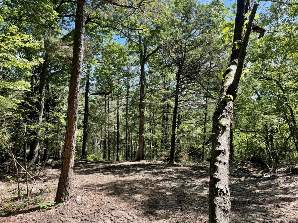 Property photo for land for sale in Boone County Arkansas