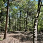 Property photo for land for sale in Boone County Arkansas