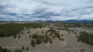 Property photo for land for sale in Silver Bow County Montana