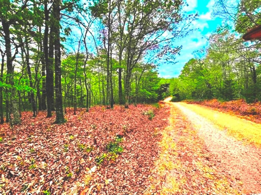 Property photo for land for sale in Fulton County Arkansas