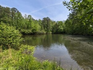 Property photo for land for sale in Fulton County Georgia