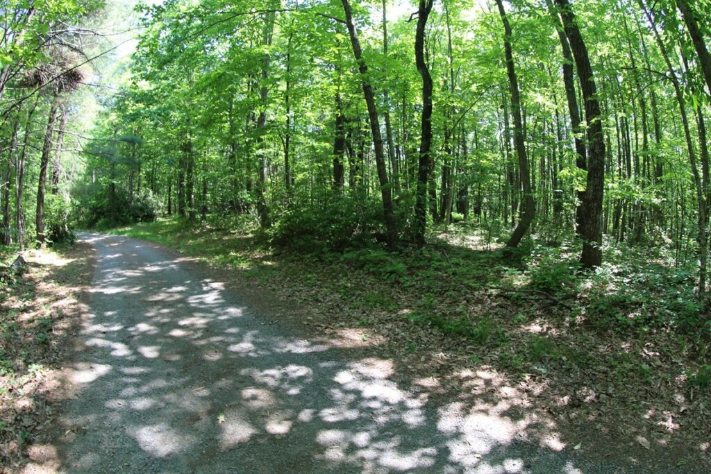 Property photo for land for sale in Patrick County Virginia