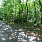 Property photo for land for sale in Patrick County Virginia