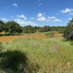 Property photo for land for sale in Brown County Texas