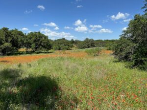 Property photo for land for sale in Brown County Texas