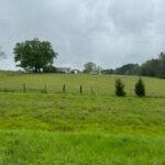 Property photo for land for sale in Morris County Texas