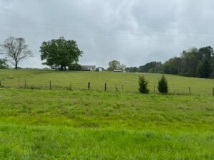 Property photo for land for sale in Morris County Texas