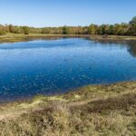 Property photo for land for sale in Rusk County Texas