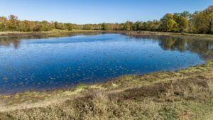 Property photo for land for sale in Rusk County Texas