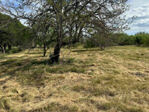 Property photo for land for sale in Brown County Texas