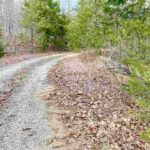 Property photo for land for sale in Fulton County Arkansas