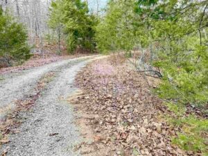 Property photo for land for sale in Fulton County Arkansas