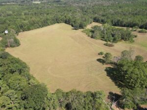 Property photo for land for sale in Pike County Mississippi