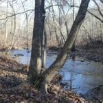 Property photo for land for sale in Stone County Arkansas