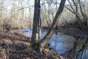 Property photo for land for sale in Stone County Arkansas