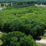 Property photo for land for sale in McNairy County Tennessee