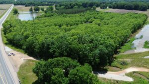 Property photo for land for sale in McNairy County Tennessee