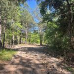 Property photo for land for sale in Montgomery County North Carolina