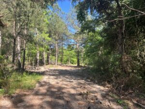 Property photo for land for sale in Montgomery County North Carolina