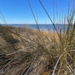 Property photo for land for sale in Carteret County North Carolina