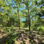 Property photo for land for sale in Le Flore County Oklahoma