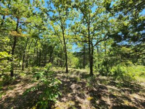 Property photo for land for sale in Le Flore County Oklahoma