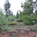 Property photo for land for sale in Larimer County Colorado