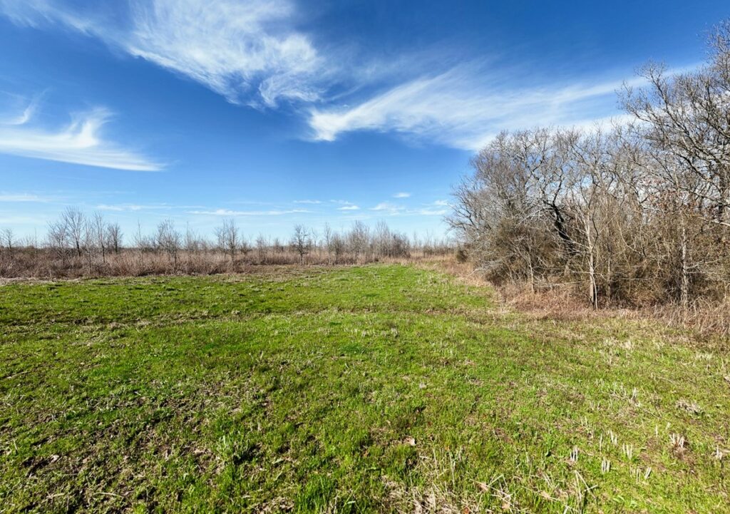 Property photo for land for sale in West Carroll County Louisiana