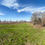 Property photo for land for sale in West Carroll County Louisiana