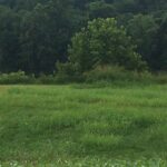 Property photo for land for sale in Izard County Arkansas