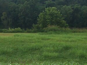 Property photo for land for sale in Izard County Arkansas