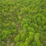 Property photo for land for sale in Ozark County Missouri